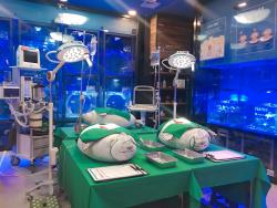 해양동물전문구조치료센터산하동물병원 체험
