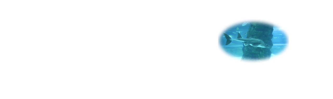 7월 이 달의 생물 : 목탁수구리 메인배너