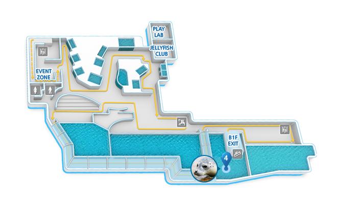 Location of Sea Lion Zone