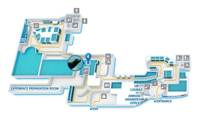 Location of Sea Lion Zone