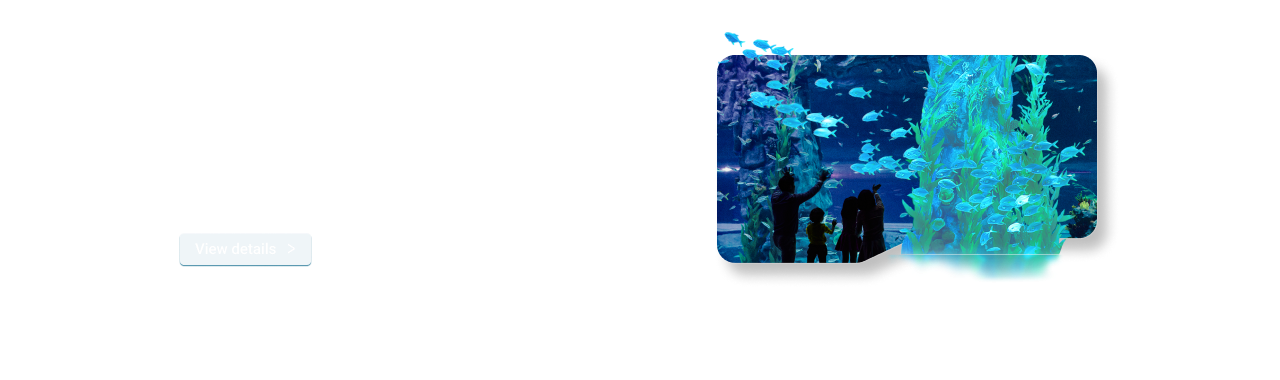LOTTE WORLD AQUARIUM, Impression beyond imagination