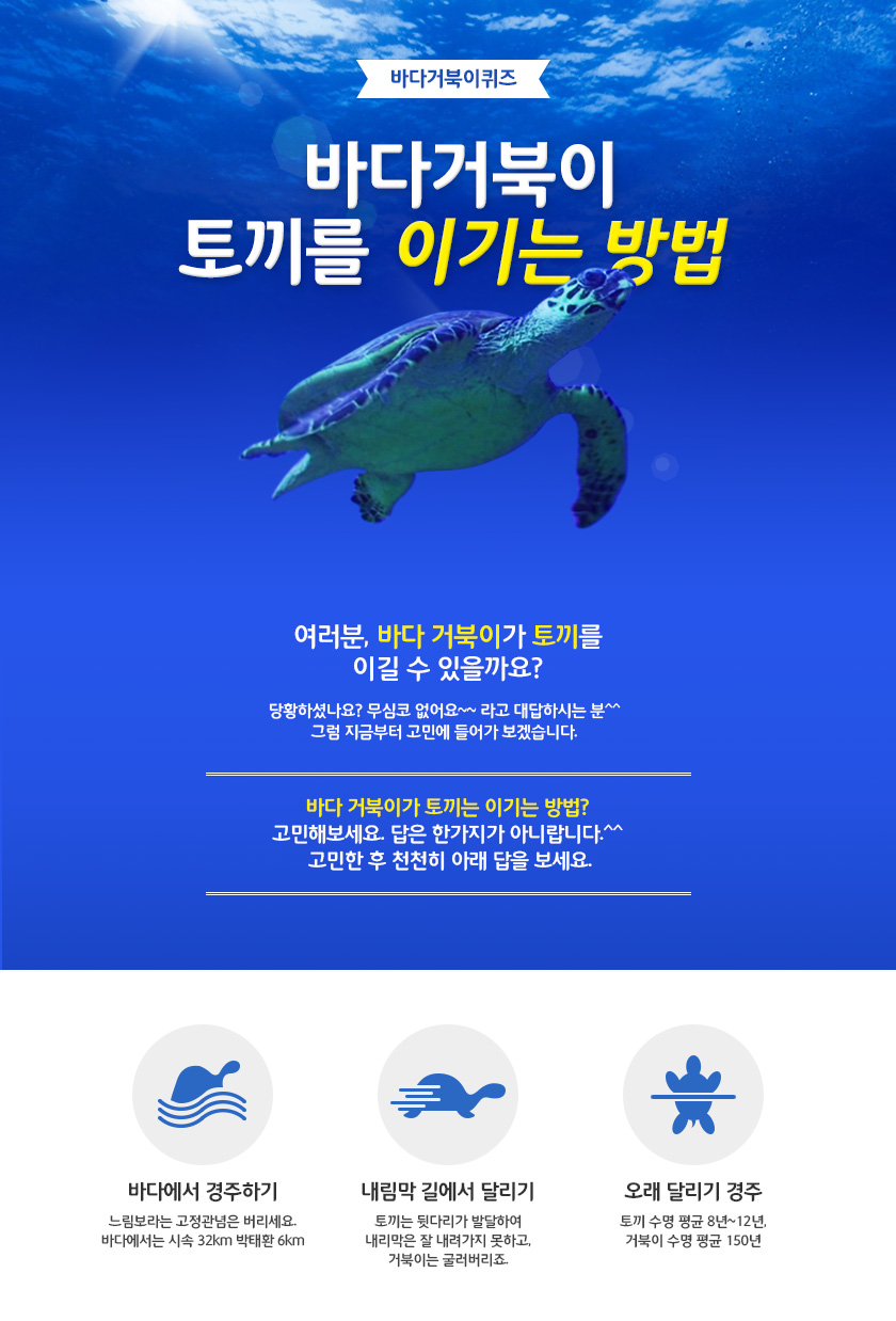 바다거북이 토끼를 이기는 방법 - 바다 거북