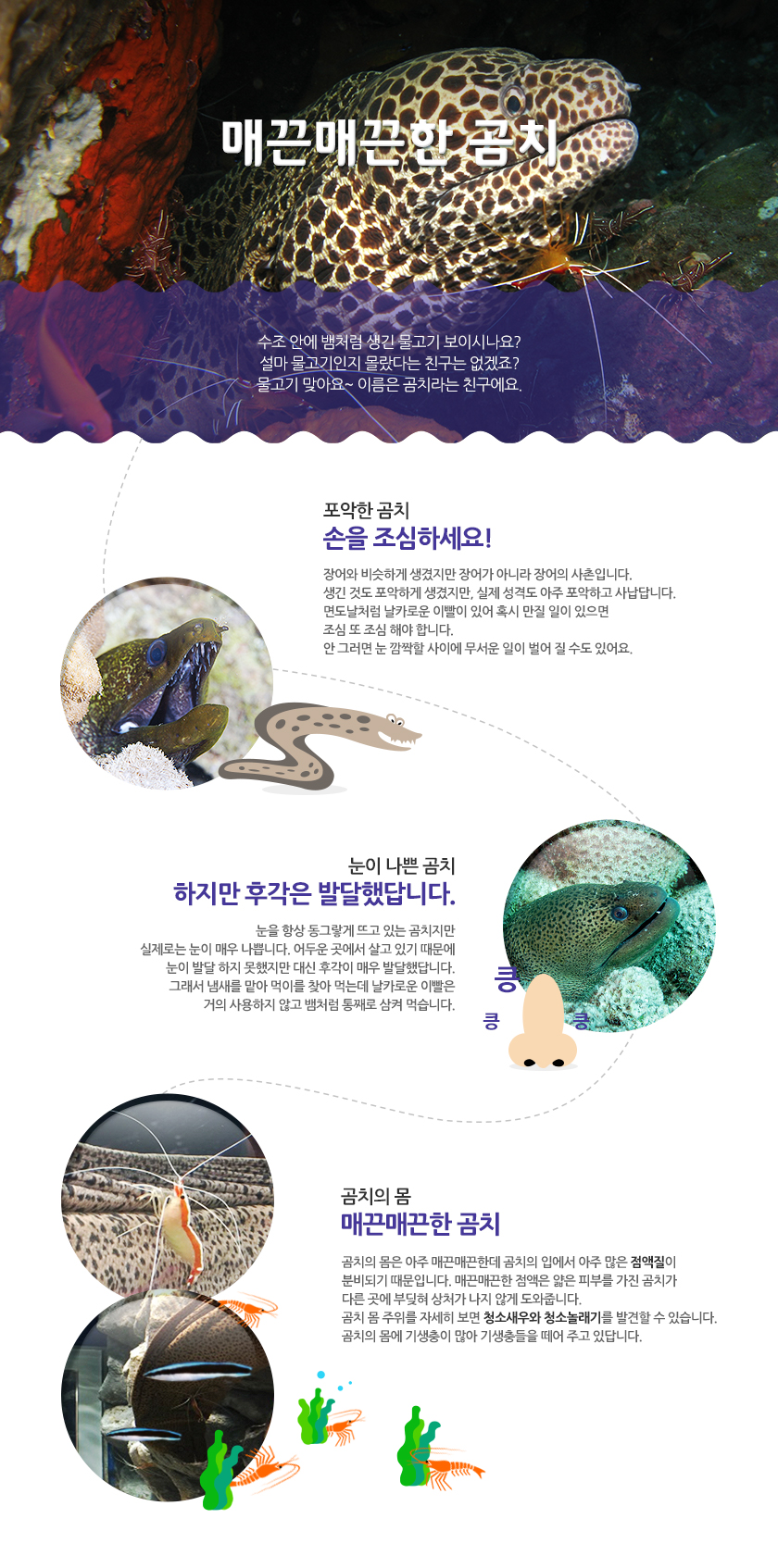 바다 친구들의 수다 | 프로그램ㆍ이벤트 - 롯데월드 아쿠아리움