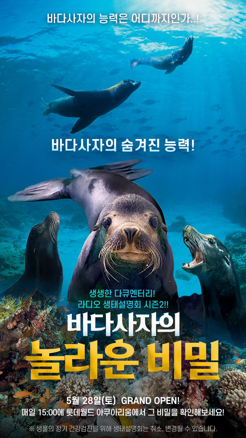 바다사자의놀라운비밀