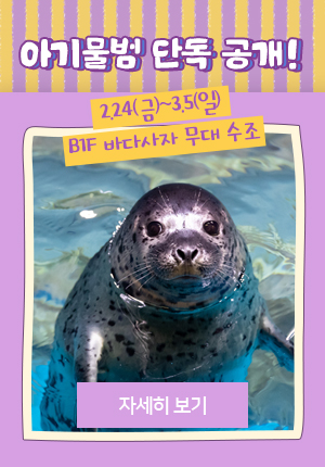 아기물범 단독 공개 2.24(금)-3.5(일) B1F 바다사자 무대 수조