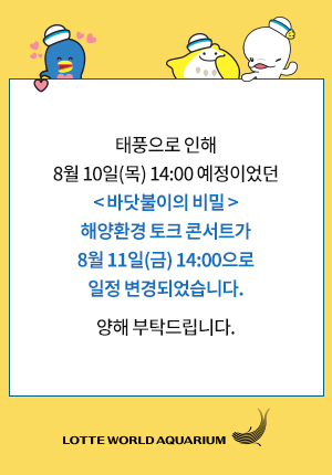 태풍안내 팝업