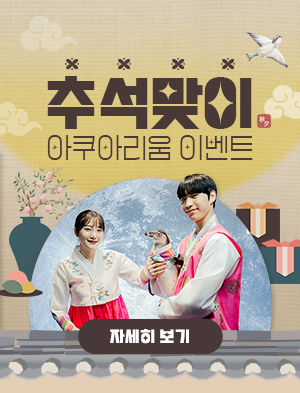 추석맞이 아쿠아리움 이벤트