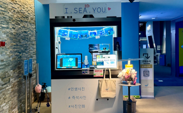 와우포토 카드