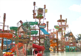 Giant Aqua Flex全景