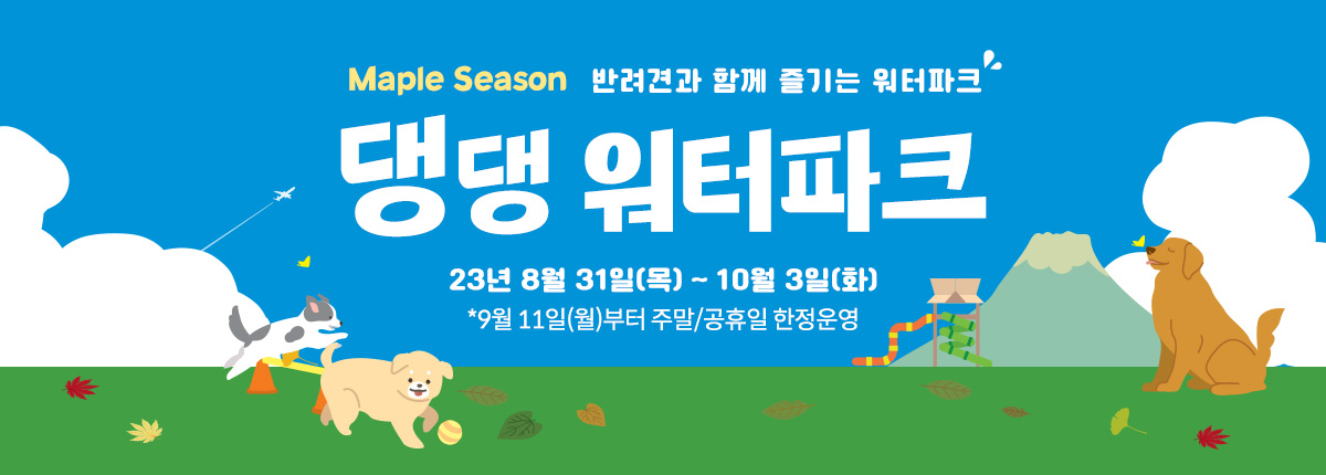 반려견과 함께 즐기는 워터파크 댕댕 워터파크