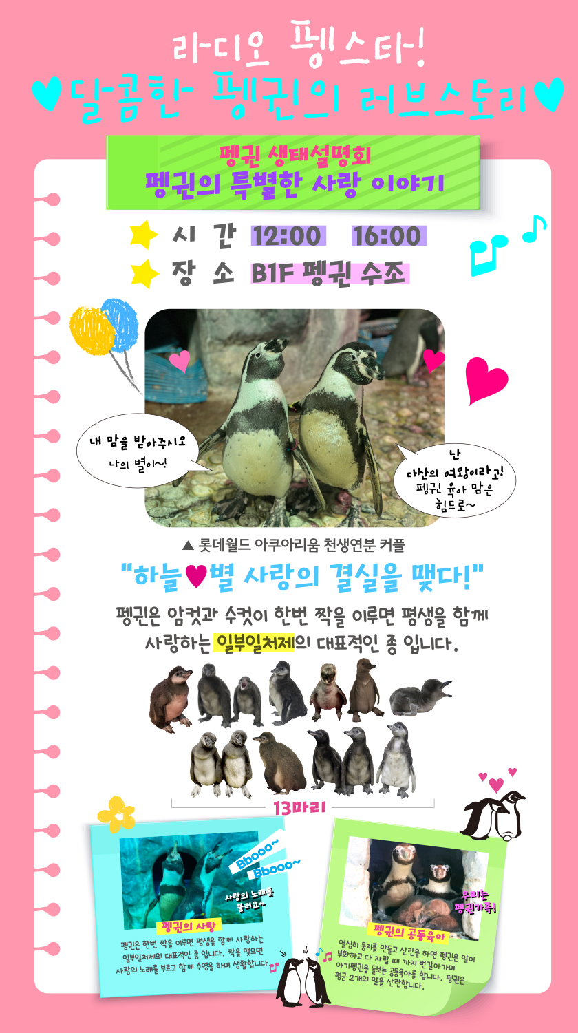 펭귄생태설명회